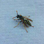 Profile Picture of Fernando Pelaez (@fernandopelaez) on Instagram