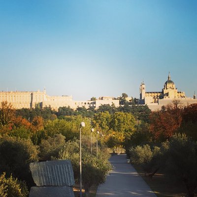 Profile Picture of Rob Boss (@robin_bossuyt) on Twitter