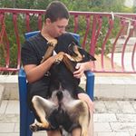 Profile Picture of adam Jelen (@adamjelen) on Instagram