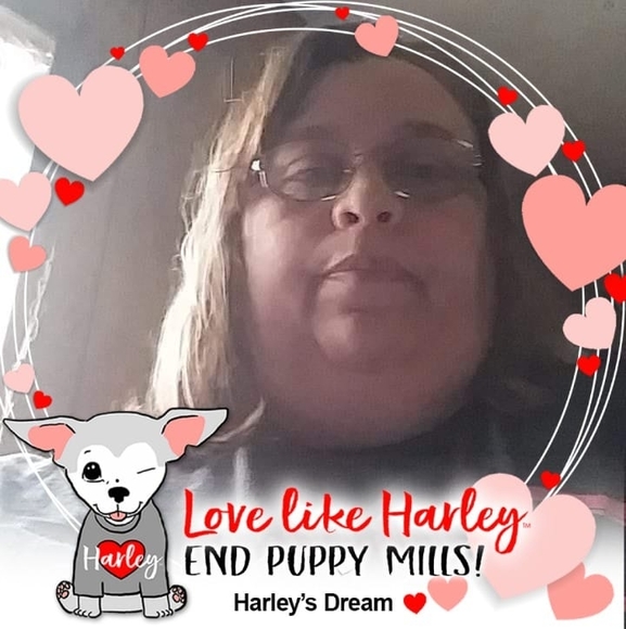 Profile Picture of Tracy Westgate (@tracydougsgirl) on Poshmark