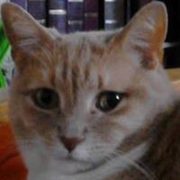 Robyn Stevens - Quora Profile Picture of Robyn Stevens (@robyn-stevens-11) on Quora