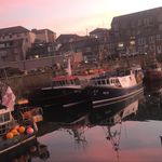 Profile Picture of Tyler Annison (@tyler_annison) on Instagram