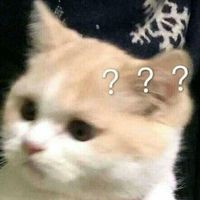 Profile Picture of Ash Mcdaniel (@ash-mcdaniel-2) on Quora