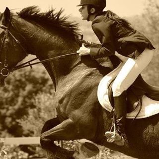 Profile Picture of Alberta Hickstead Rossi (@alberta.hicksteadrossi) on Facebook