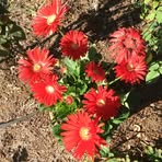 Profile Picture of Gilda Edwards (@gilda.edwards.716) on Facebook