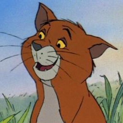 Profile Picture of Thomas O'Malley (@Ditty_Mow) on Twitter