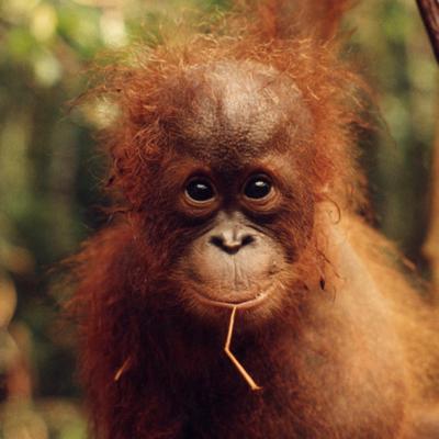 Profile Picture of Brian Lerner (@bml_in_co) on Twitter