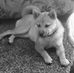 Profile Picture of Lori Blackmore (@lori.blackmore.71) on Facebook