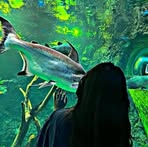 Profile Picture of Layan Azboon (@Layan-Azboon) on Facebook