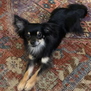 Profile Picture of Randy Steffler (@stefflerrandy) on Instagram