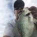 Profile Picture of Greg Pyles (@greg.pyles.5) on Facebook