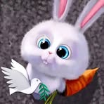 Profile Picture of Debbie Delvi (@Debbie-Delvi) on Facebook