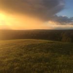 Dylan Crowell - Instagram Profile Picture of Dylan Crowell (@crowell_dylan) on Instagram