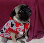 Felix Bolanos - Facebook Profile Picture of Felix Bolanos (@felix.bolanos.797239) on Facebook