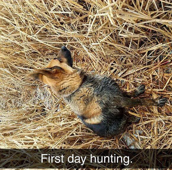 Profile Picture of Anthony Clagett (@arclagett93) on Poshmark