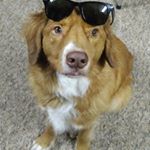 Profile Picture of John Harold Holmes (@paperclip459) on Instagram