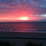 Profile Picture of Pat Goodall (@goodall.pat) on Instagram