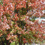 Profile Picture of jacobcharbonneau (@jacob_charbonneau) on Instagram