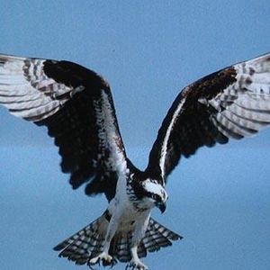 Profile Picture of Nancy Kanter (@kiche08) on Myspace