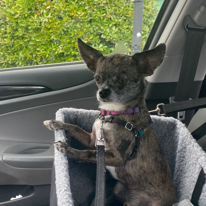 Profile Picture of Jgreat1354 (@jasongreathouse8) on Tiktok