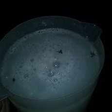 Profile Picture of Gabriel D. Reba (@GabrieldReba1) on Twitter