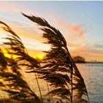 Profile Picture of Amir._.barati (@amir._.barati3) on Instagram