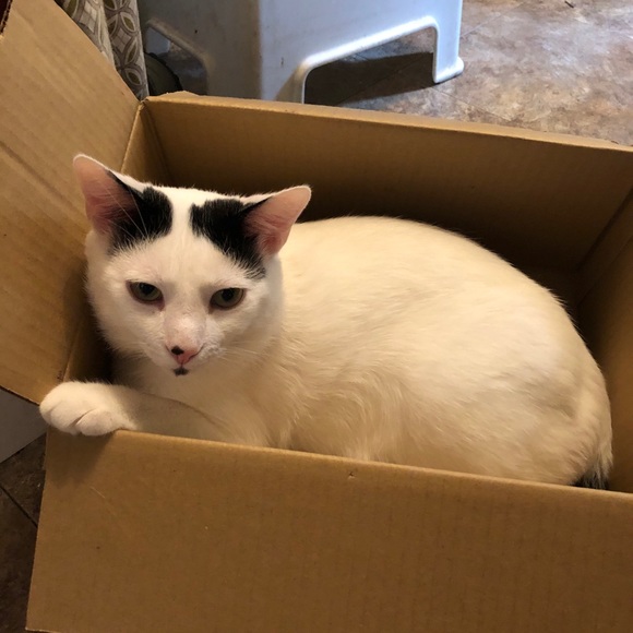 Profile Picture of M Spiro (@metalmaven666) on Poshmark