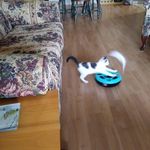 Profile Picture of Suzanne Paradis (@suzanne.paradis.16) on Instagram