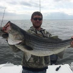 Profile Picture of Andrew Kuczinski (@drewkuczinski28) on Tiktok