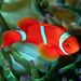Profile Picture of Timothy Canup (@timothylcanup9600) on Pinterest
