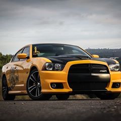 Profile Picture of Jason Branch (@@jasonbranch7) on Tiktok