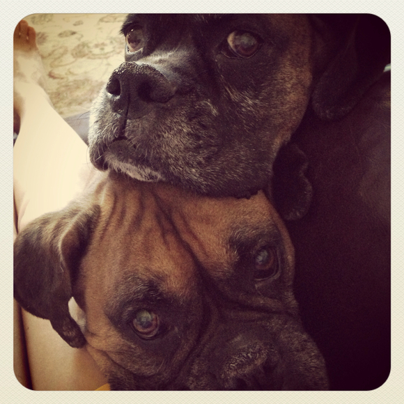 Jacquie Daniels - Poshmark Profile Picture of Jacquie Daniels (@jaxdaniels) on Poshmark