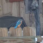 Profile Picture of Jos Schrauwers (@josschrauwers) on Instagram