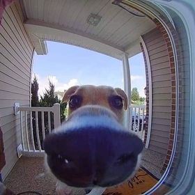 Profile Picture of Paola Zapata (@zpaola457) on Pinterest