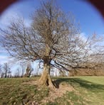 Profile Picture of Edith Aubry (@edith.aubry.100) on Facebook