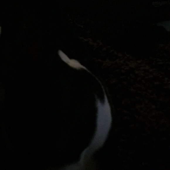 Profile Picture of Tammara Burgis (@duce44) on Poshmark