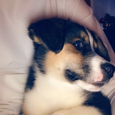 Profile Picture of Ethan Hacker (@EthanHacker10) on Twitter