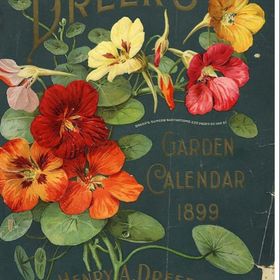 Profile Picture of sara lewis/howell (@slewis625) on Pinterest