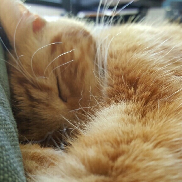 Jacob Yooak - Poshmark Profile Picture of Jacob Yooak (@turbolad) on Poshmark