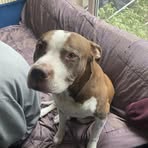 Profile Picture of Elias Maynard (@Elias-Maynard) on Facebook