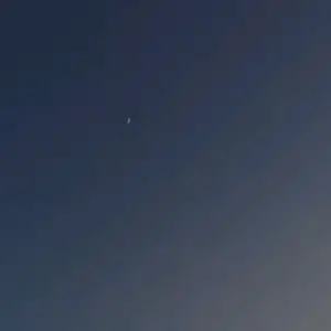 N - Tiktok Profile Picture of N (@shugliashvili_nino) on Tiktok