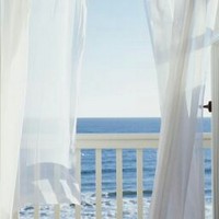 Profile Picture of Ali Alizadeh (@ali-alizadeh-18) on Quora