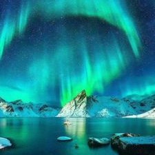 Profile Picture of Ali Anvari (@AliAnvari6) on Twitter