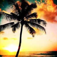 Profile Picture of Mandy Mckinnon (@mandy-mckinnon-3) on Quora