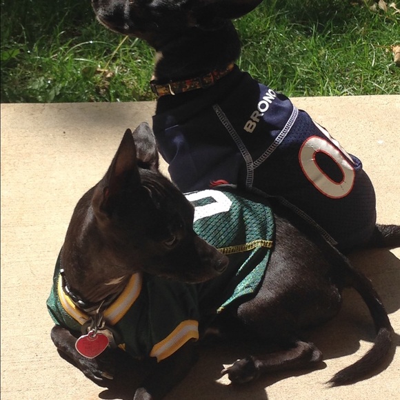 Profile Picture of Ali Iannarilli (@aliiannarilli) on Poshmark