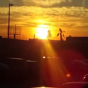 Profile Picture of Moises Cueto Antonio (@moises_cueto) on Twitter