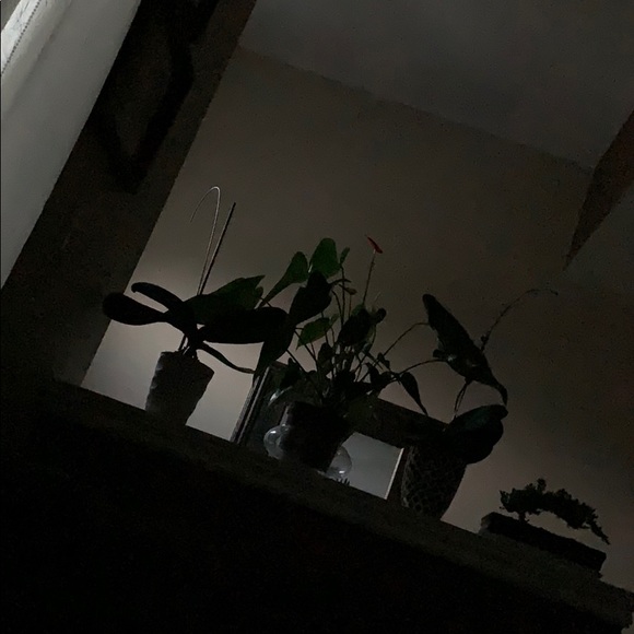 Profile Picture of Alessandra Ruberto (@alessandraruber) on Poshmark