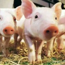 A Zhu Mi De - Twitter Profile Picture of A Zhu Mi De (@shan_mylove) on Twitter