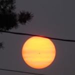 Profile Picture of Bette McCarthy (@bette.mccarthy) on Instagram