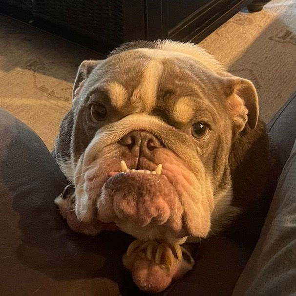 Profile Picture of Brian Schuckmann (@njfloridamann) on Tiktok